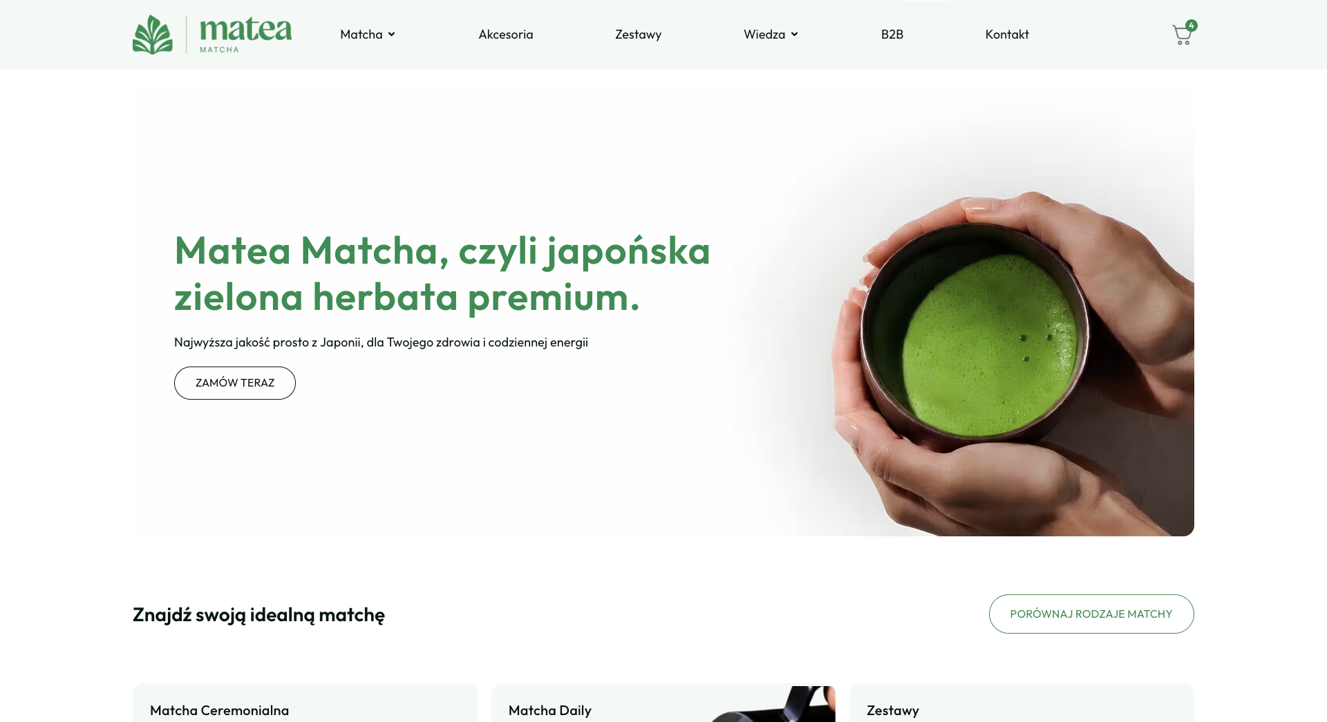 Wygląd i wydajność sklepu przed zmianami